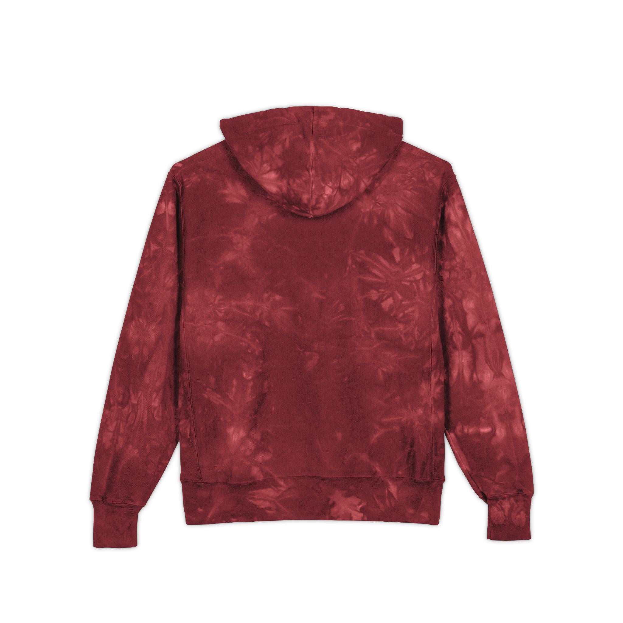 ONE SUN: CHAMPION Embroidered Hoodie